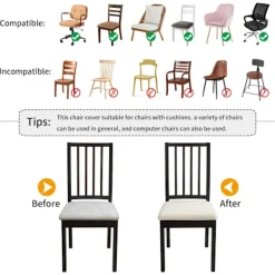 Stolar><noscript><img width=