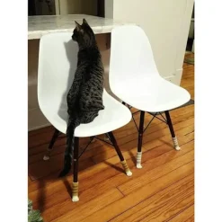 Stolar><noscript><img width=