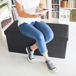 B2X Kistor & Koffertar>Bänk med förvaringsutrymme i konstläder