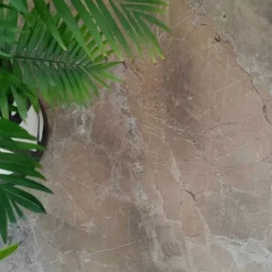 Matbord><noscript><img width=