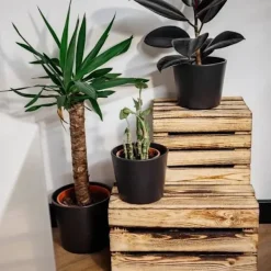 CREATIVE DECO Kistor & Koffertar><noscript><img width=