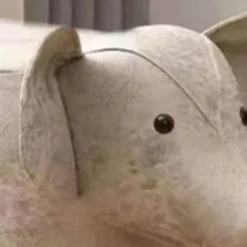 Pallar><noscript><img width=