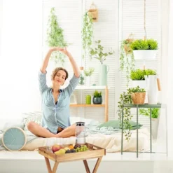 B2X Småbord><noscript><img width=