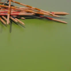 Matbord><noscript><img width=