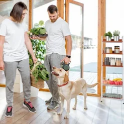 B2X Hyllor><noscript><img width=