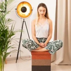 B2X Pallar><noscript><img width=