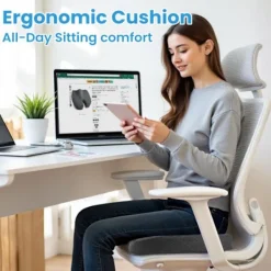 Stolar><noscript><img width=