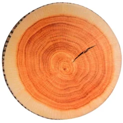 Sittsäckar><noscript><img width=