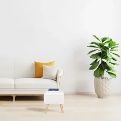 Northio Sittpuffar><noscript><img width=