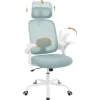 Rootz Living Kontorsmöbler>Rootz Ergonomic Office Chair - Lumbal Support - Justerbar skrivstol - Besättningsnät - 63,5 x 109,5-117,5 x 50 cm