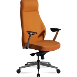 Rootz Living Kontorsmöbler>Rootz Executive Chair - Kontorsstol - Ergonomisk stol - Högkvalitativ klädsel - Armstöd i aluminium - Justerbar sitthöjd - 119cm x 74cm x 74cm