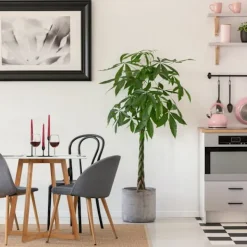 Northix Matbord>Runt matbord