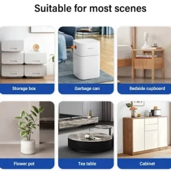 Stolar><noscript><img width=