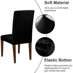 Stolar><noscript><img width=