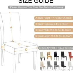 Stolar><noscript><img width=