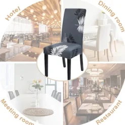 Stolar><noscript><img width=