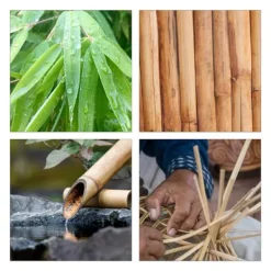 B2X Hyllor><noscript><img width=