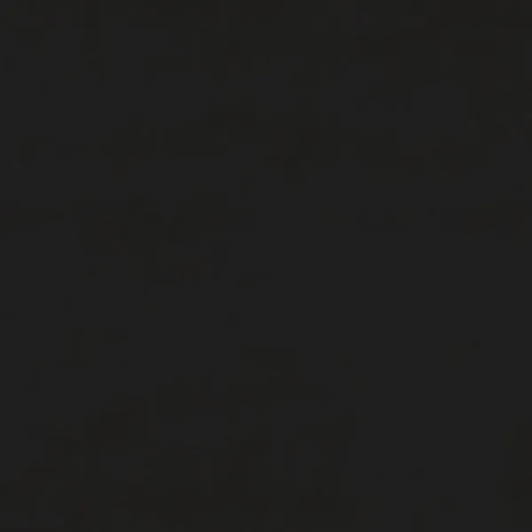 vidaXL Soffor>Bäddsoffa 2-sits med två kuddar sammet