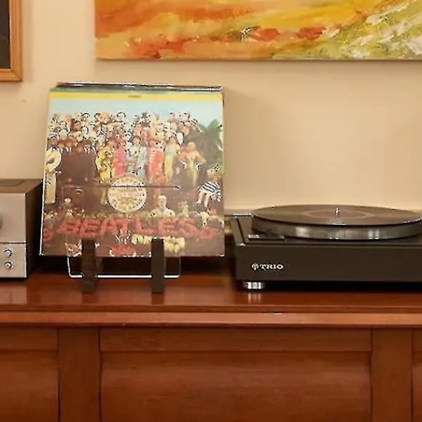Hyllor>Vinyl Record Storage Holder - Visa dina singlar och LP-skivor i ställ